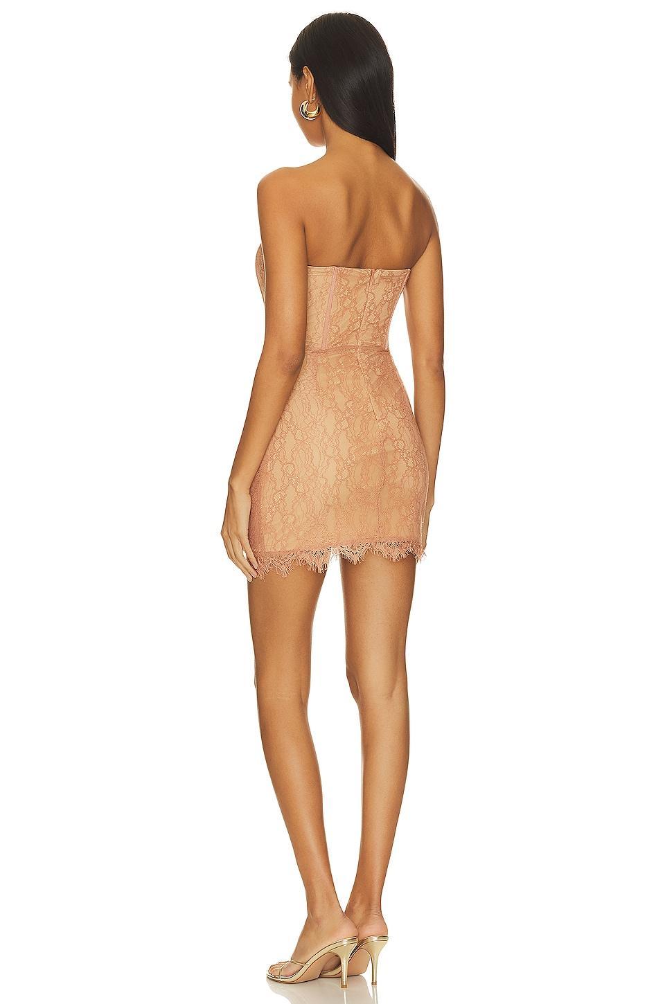 Belladonna Mini Dress NBD Product Image