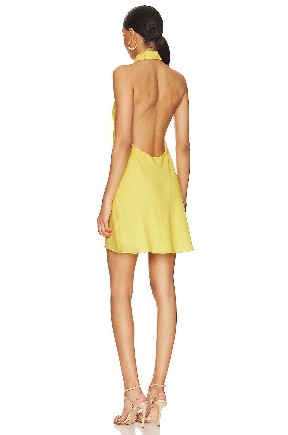 Jasmine Halter Mini Dress Product Image