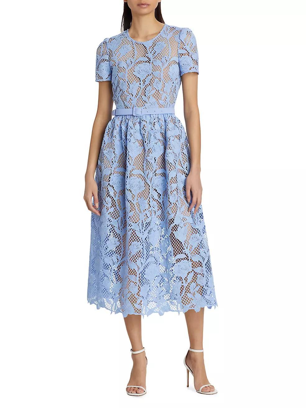 Lily Mesh Lace A-Line Midi-Dress Product Image