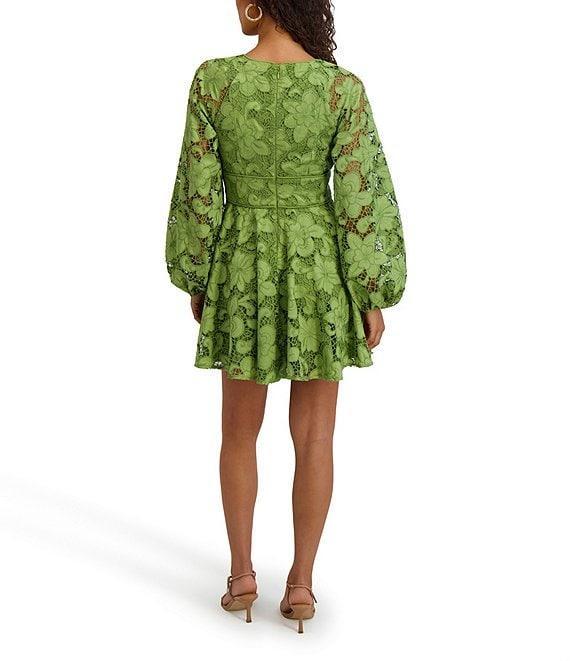 SIENA Long Sleeve V-Neck Floral Lace Dress Product Image