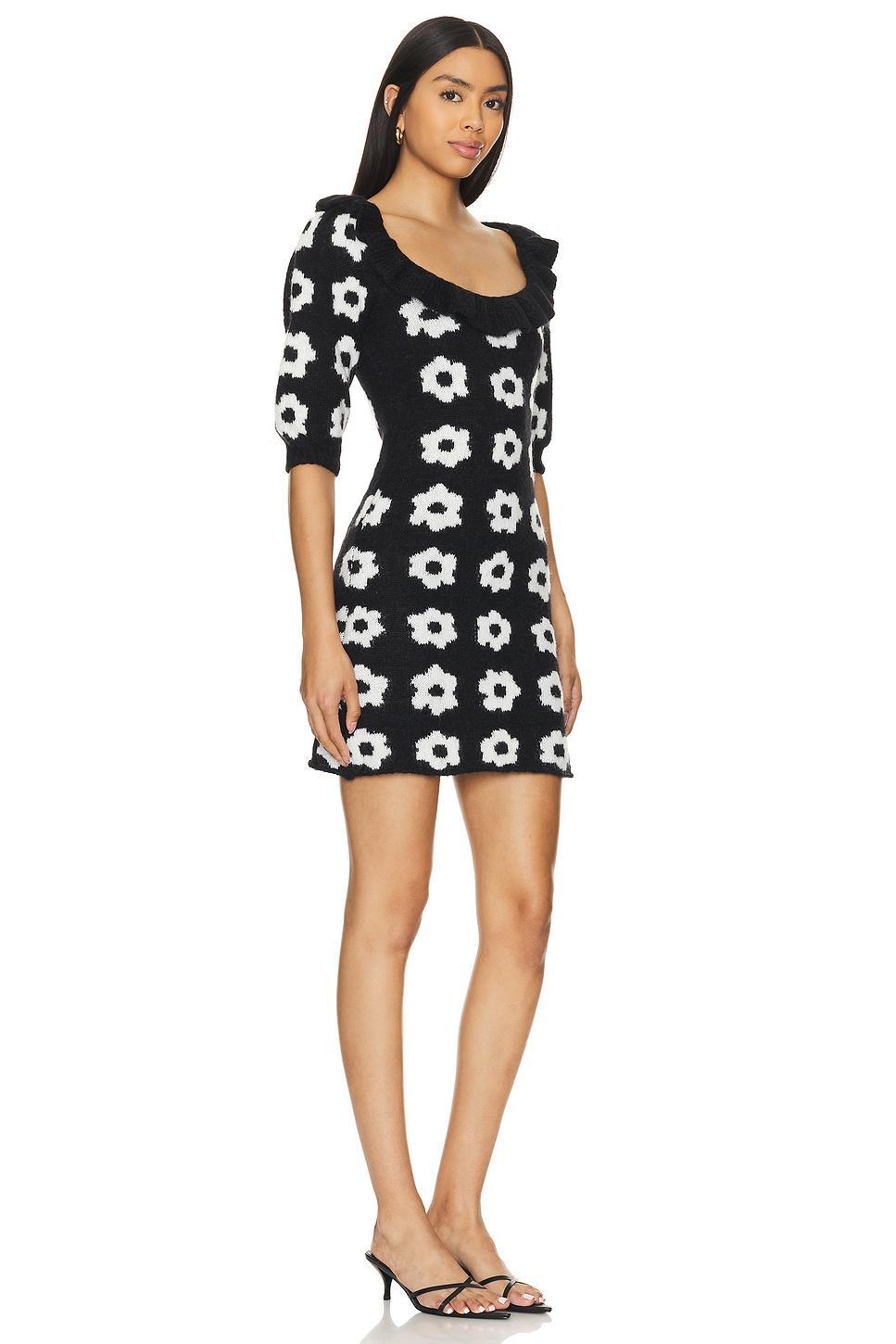 Eleni Knit Mini Dress Kitri Product Image