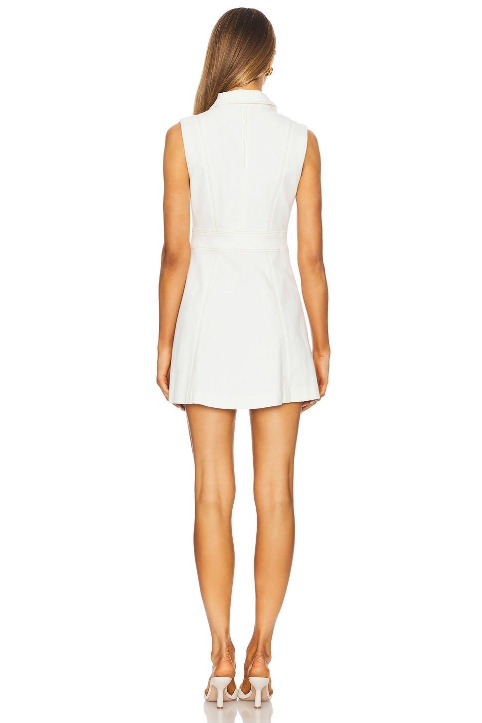 Vida Dress PAIGE Product Image