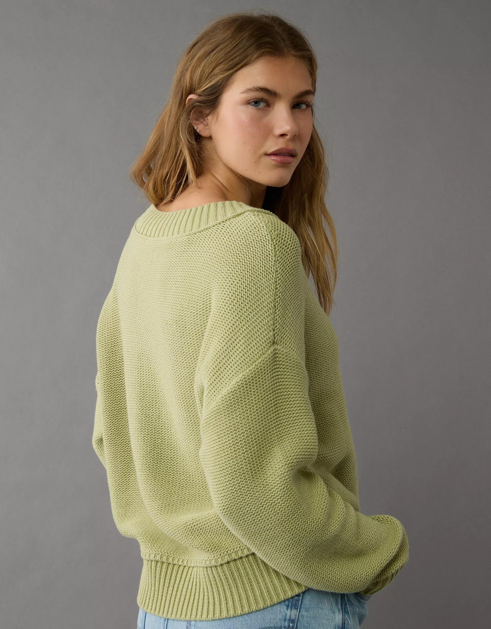 AE Long Weekend V-Neck Sweater Product Image