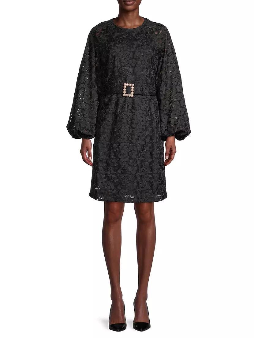 Belted Embroidered-Mesh Dress Product Image