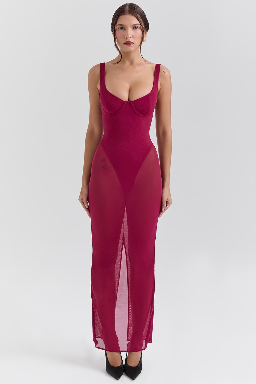 Robina  wine stretch mesh maxi dress Product Image