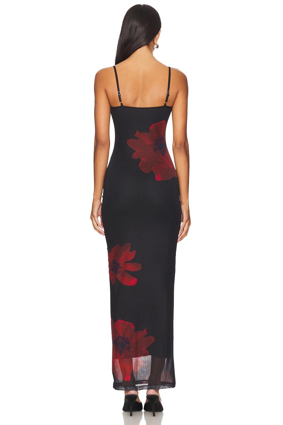Jobelle Maxi Dress Product Image