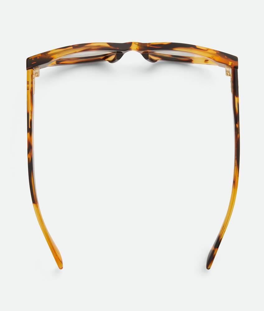Women's Dizzy Cat Eye Eyeglasses in Havana/transparent Product Image