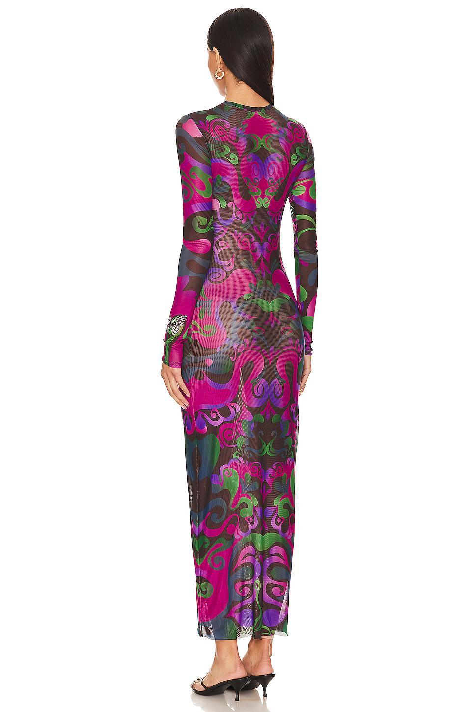 x REVOLVE Robin Maxi Dress Product Image