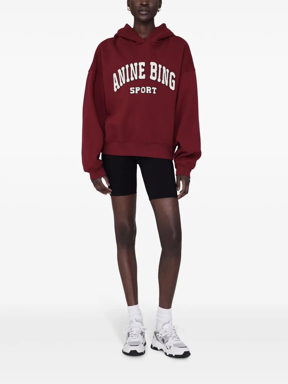 Alec Sport hoodie Product Image