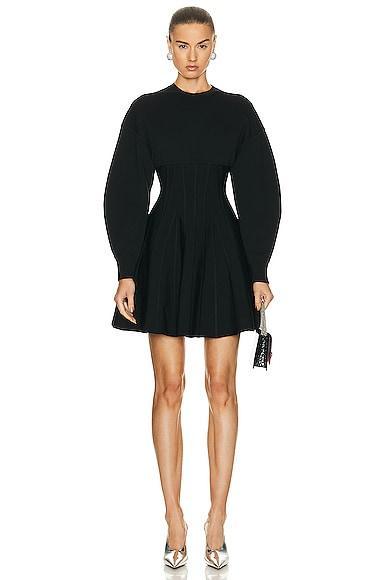 Alexander McQueen Corset Crewneck Mini Dress Product Image