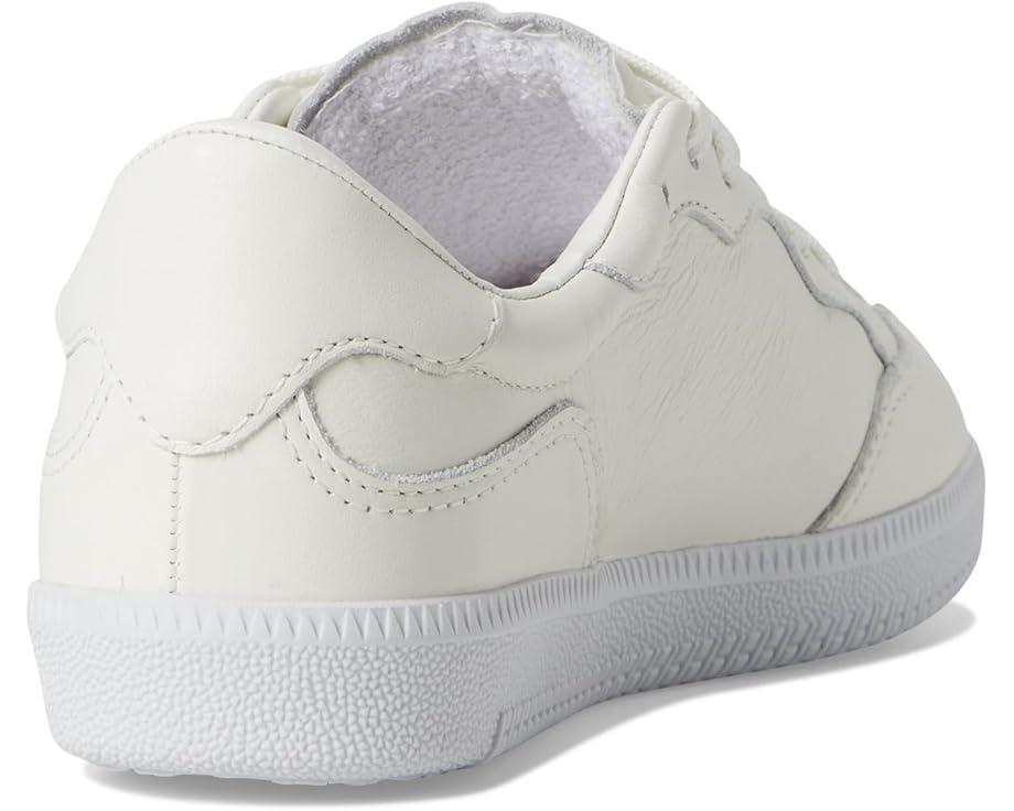 Sealine Sneakers Product Image