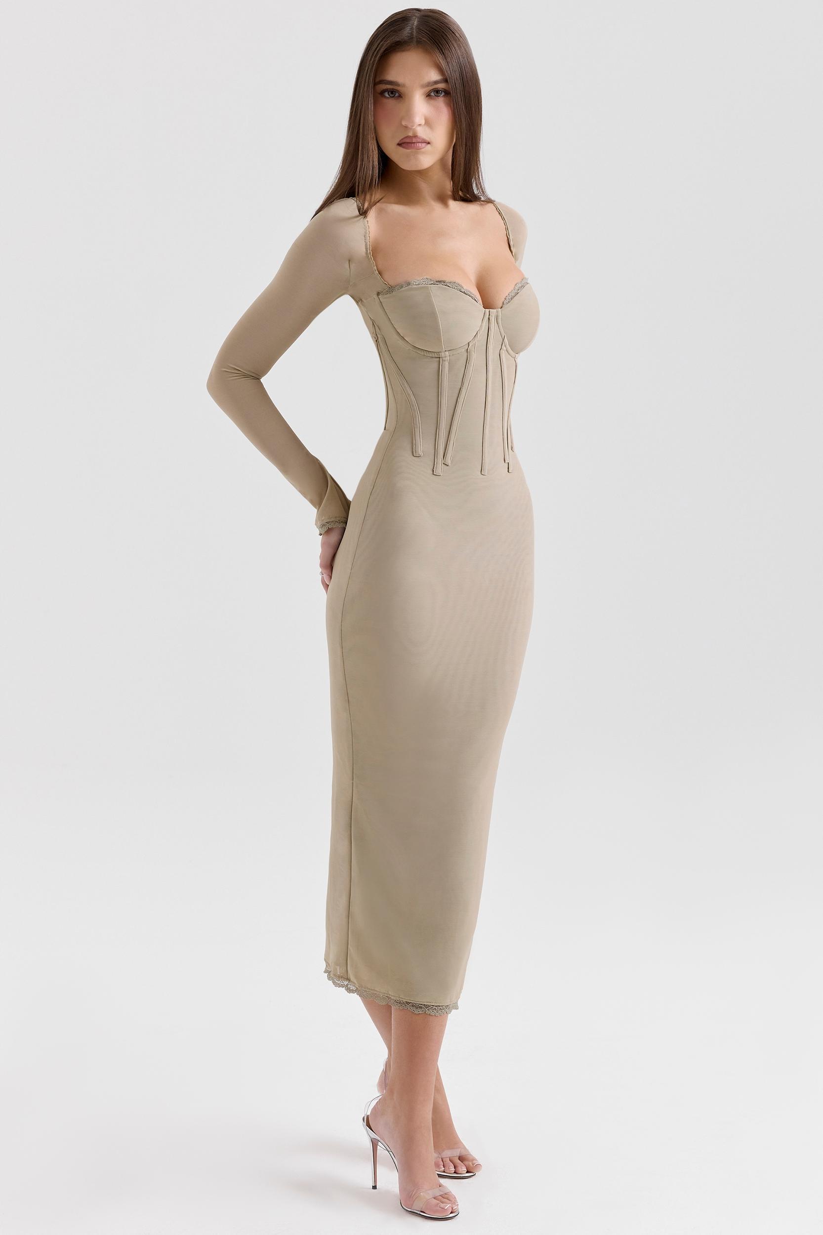 Saisha  beige mesh long sleeve bodycon midi dress Product Image