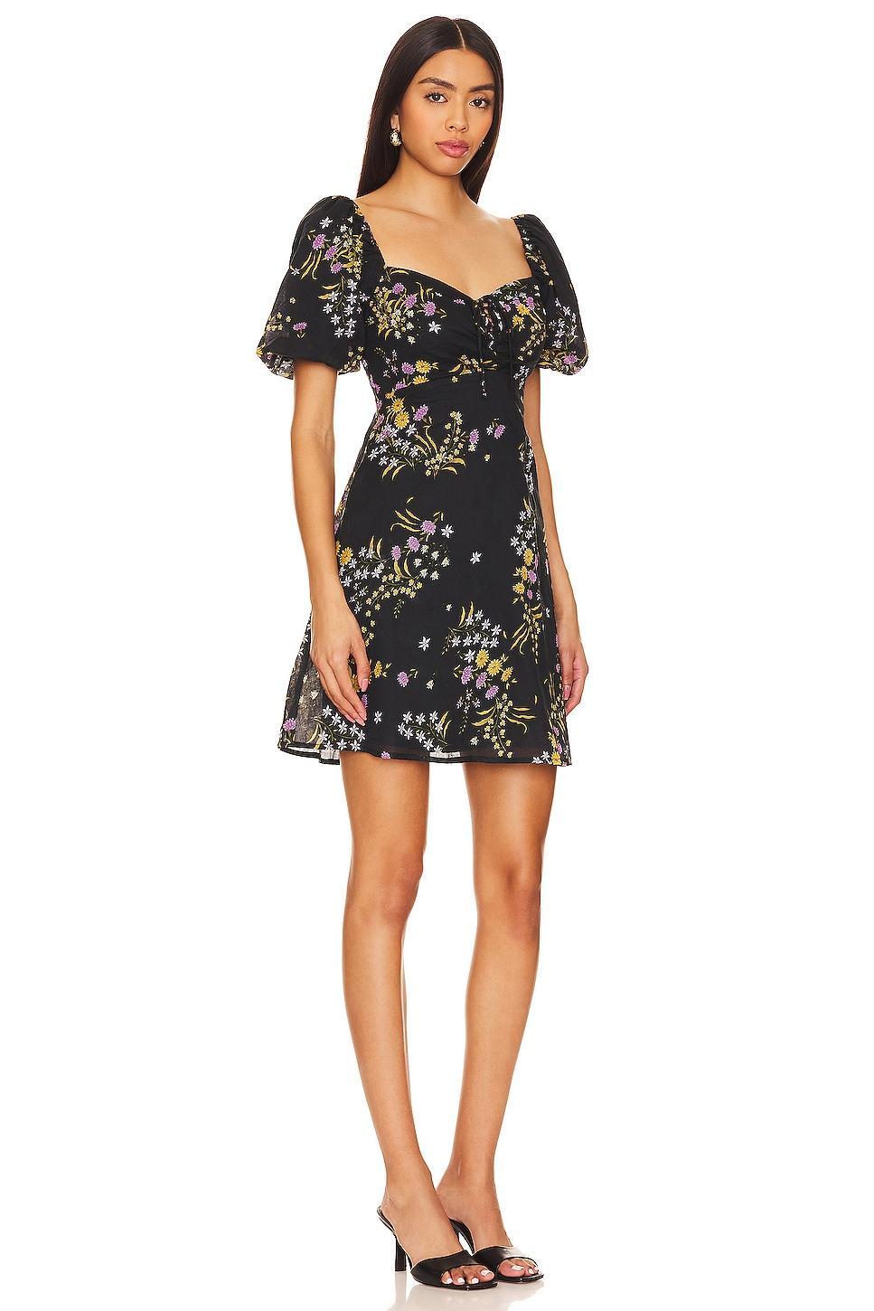 Violeta Dress Steve Madden Product Image
