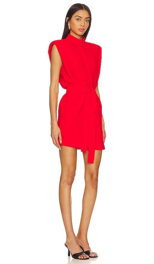 Cleary Dress Amanda Uprichard Product Image