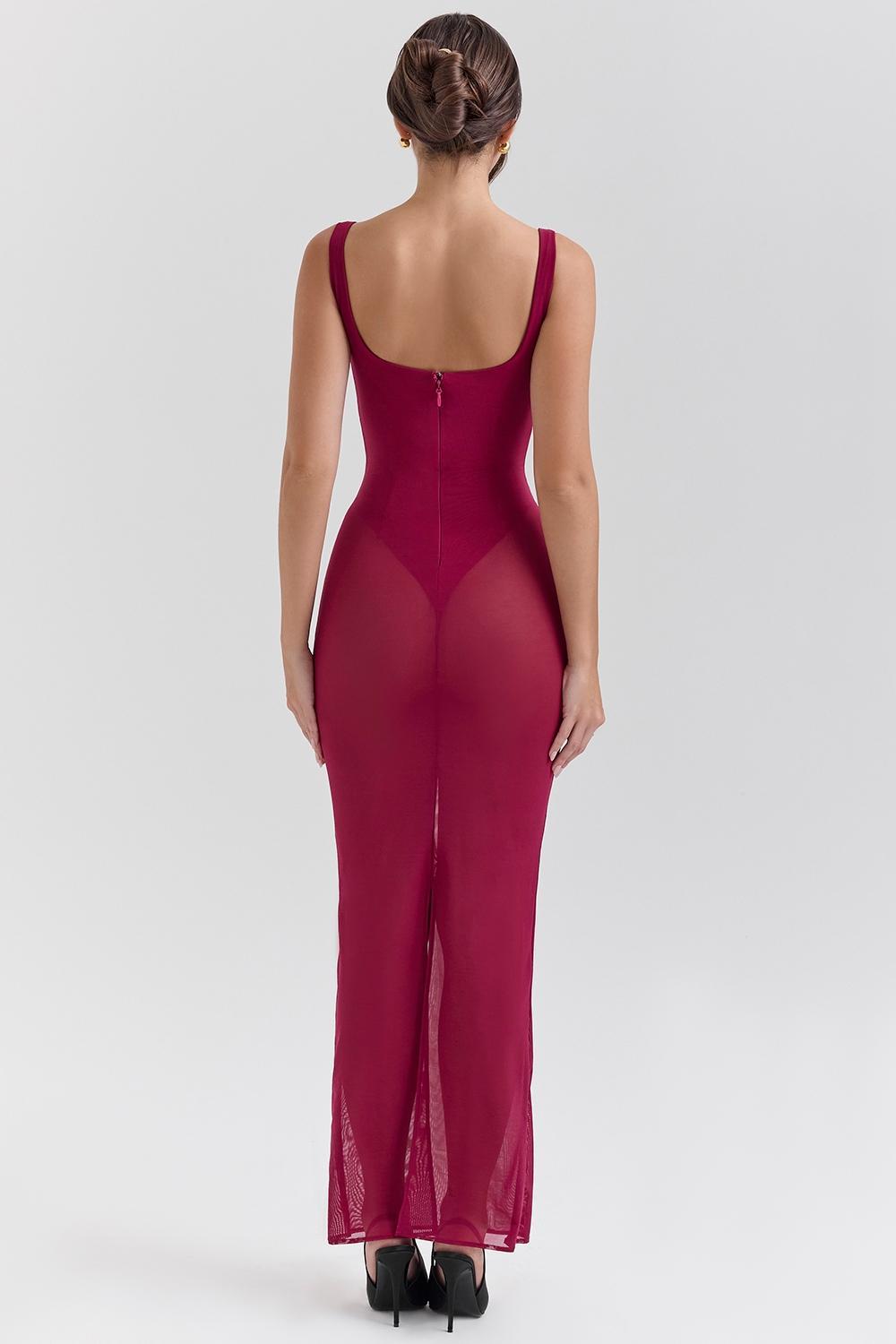 Robina  wine stretch mesh maxi dress Product Image