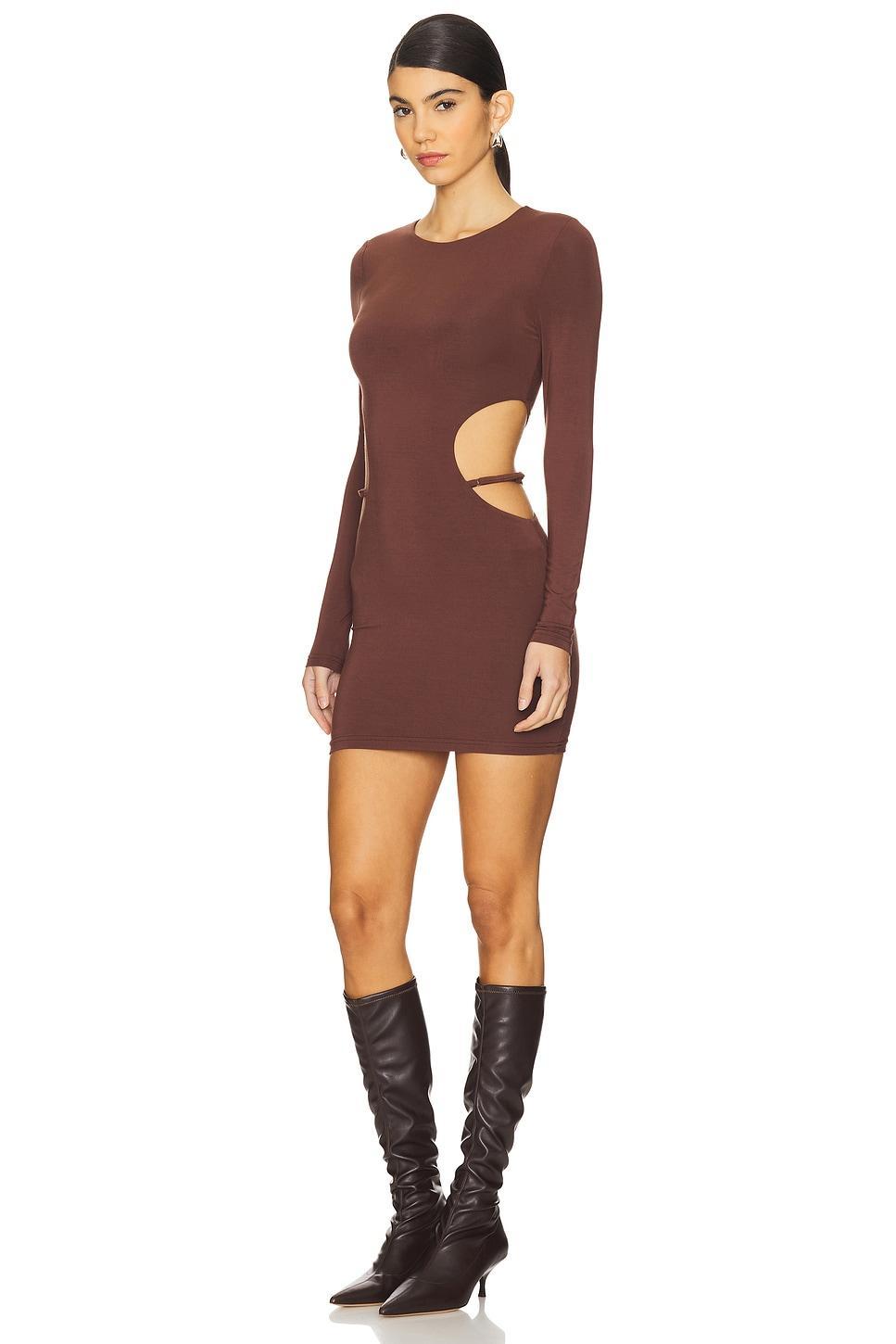 Torianna Mini Dress superdown Product Image