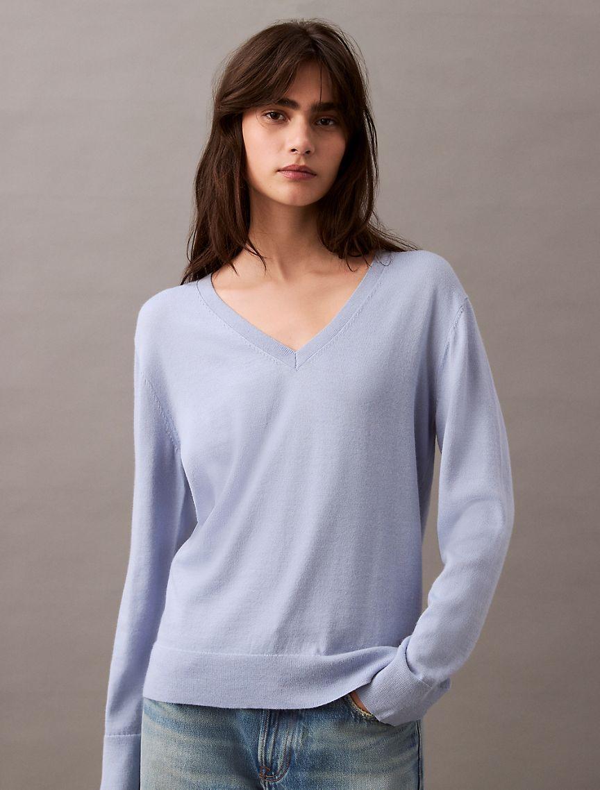 Extra Fine Merino Blend V-Neck Sweater Product Image