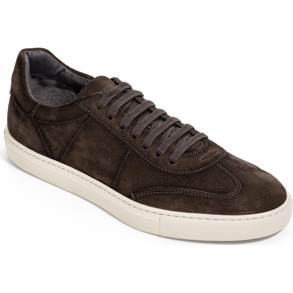 TO BOOT NEW YORK Men's Wilton Lace Up Suede Sneakers In Dark Brown Product Image