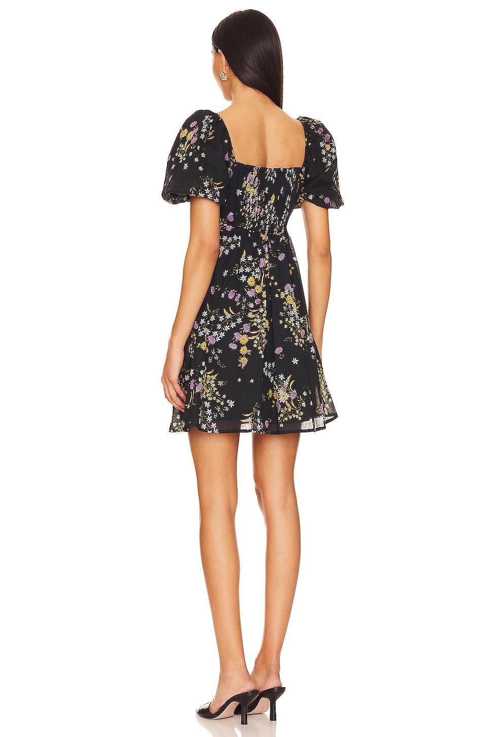Violeta Dress Steve Madden Product Image