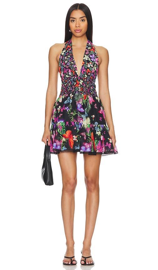Faye Dress Product Image