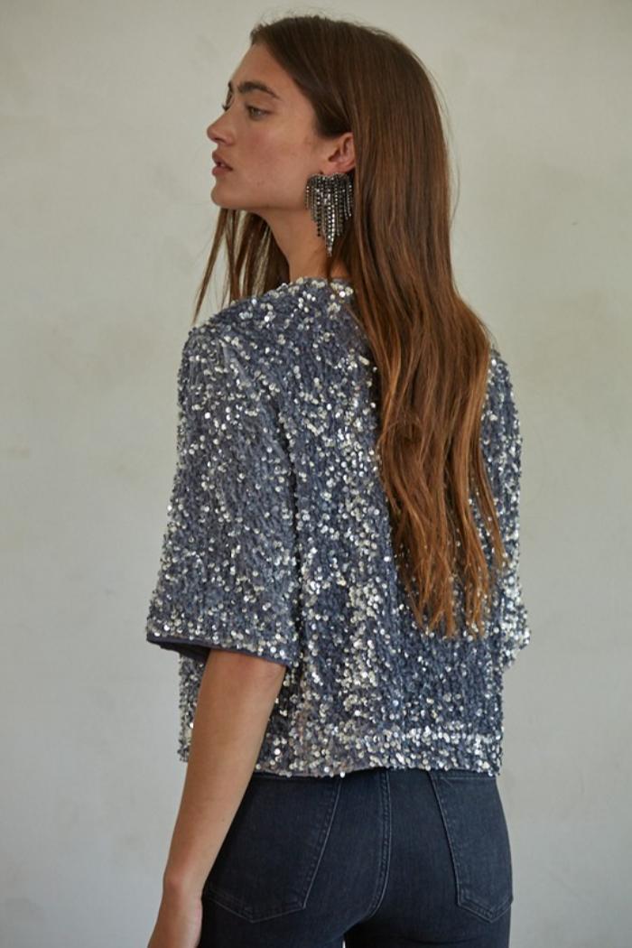 SS Velvet Sequin Top Product Image