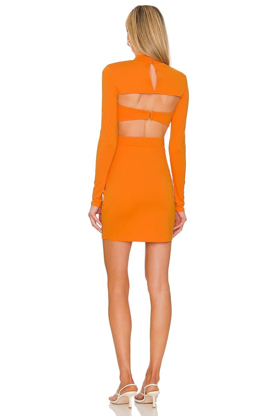 Antonella Mini Dress Product Image