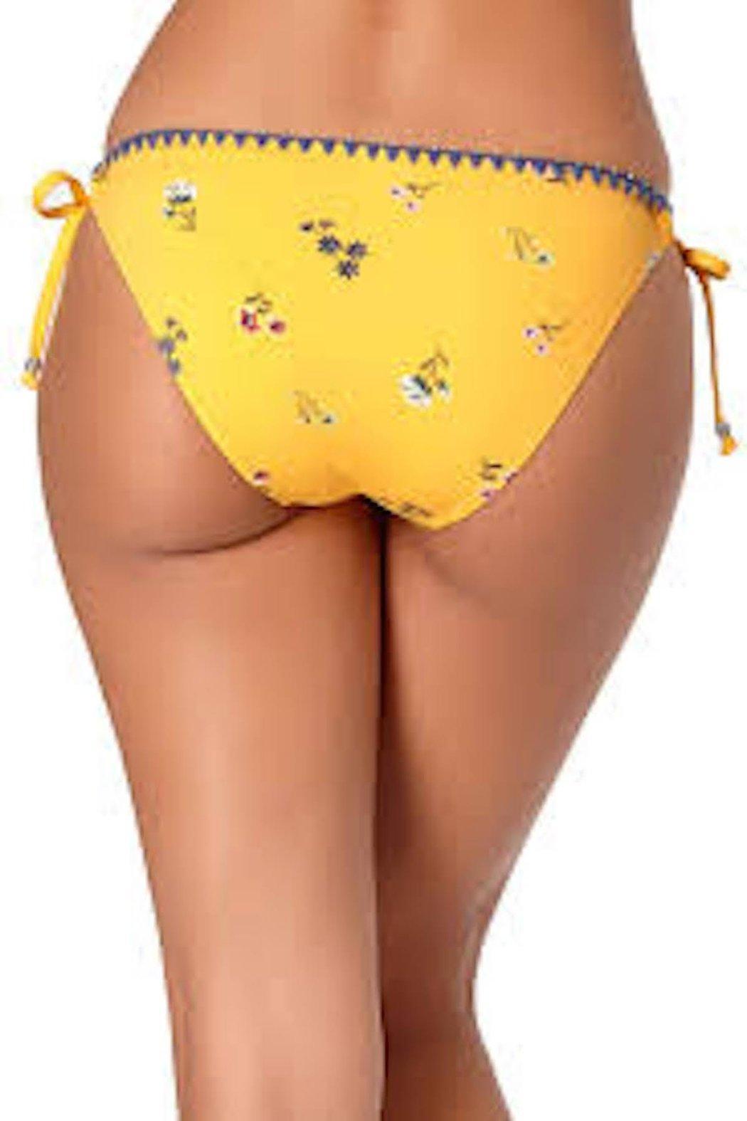 Ac Bliss Frill Bikini Product Image