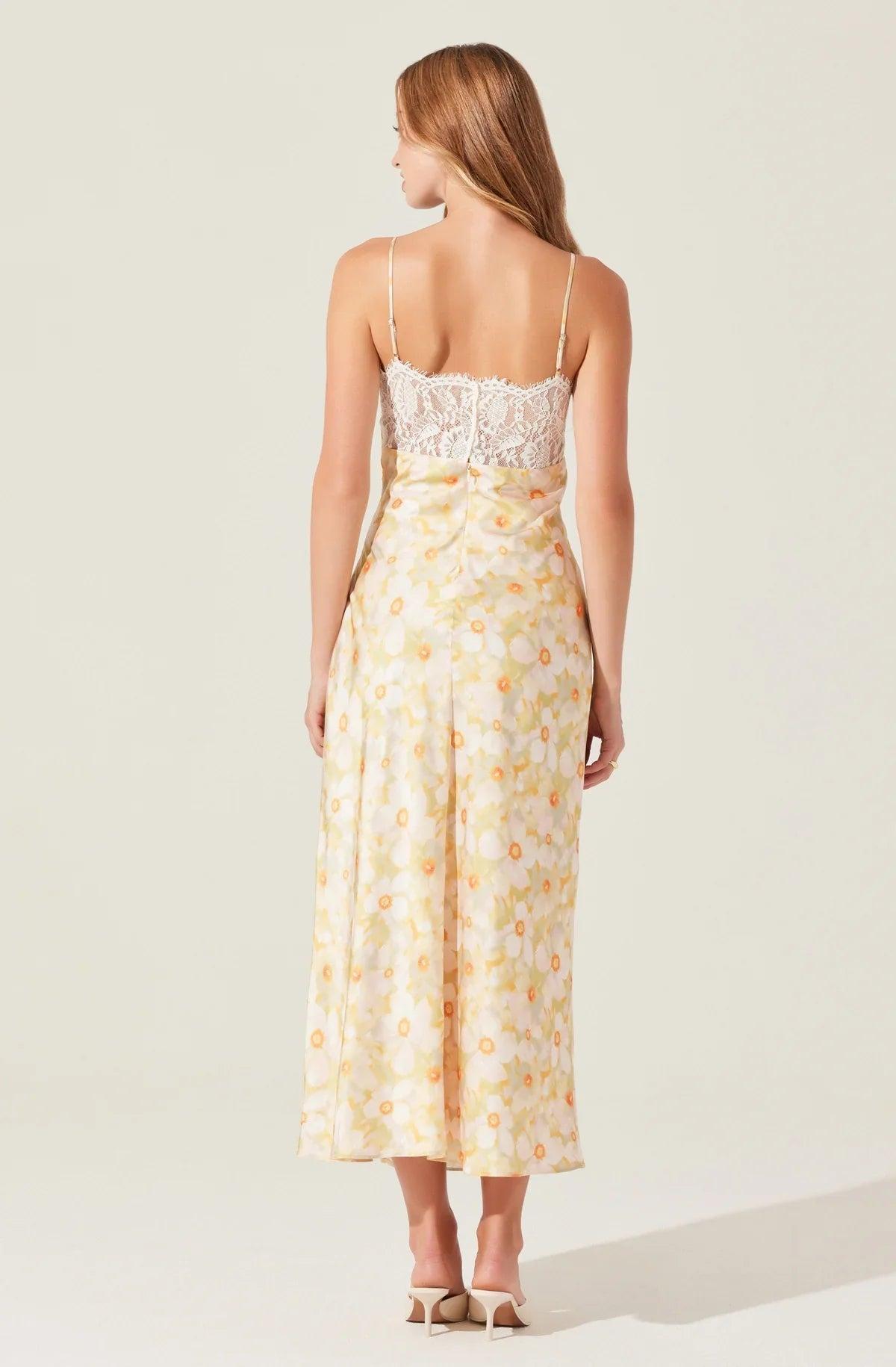 Mabel Dress Product Image