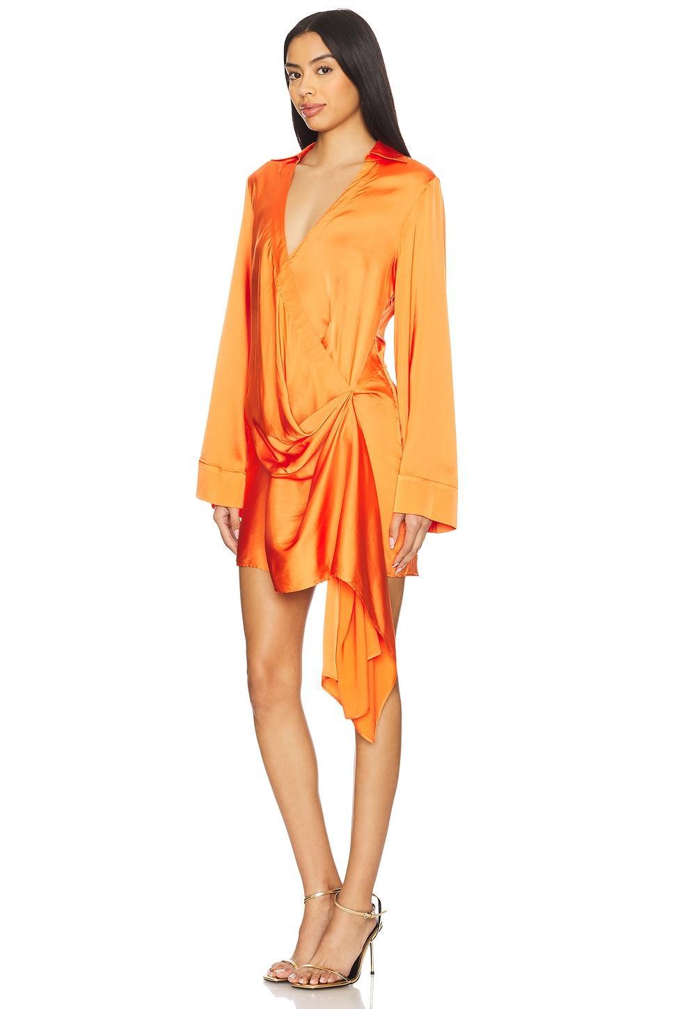 Elaina Wrap Dress Significant Other Product Image