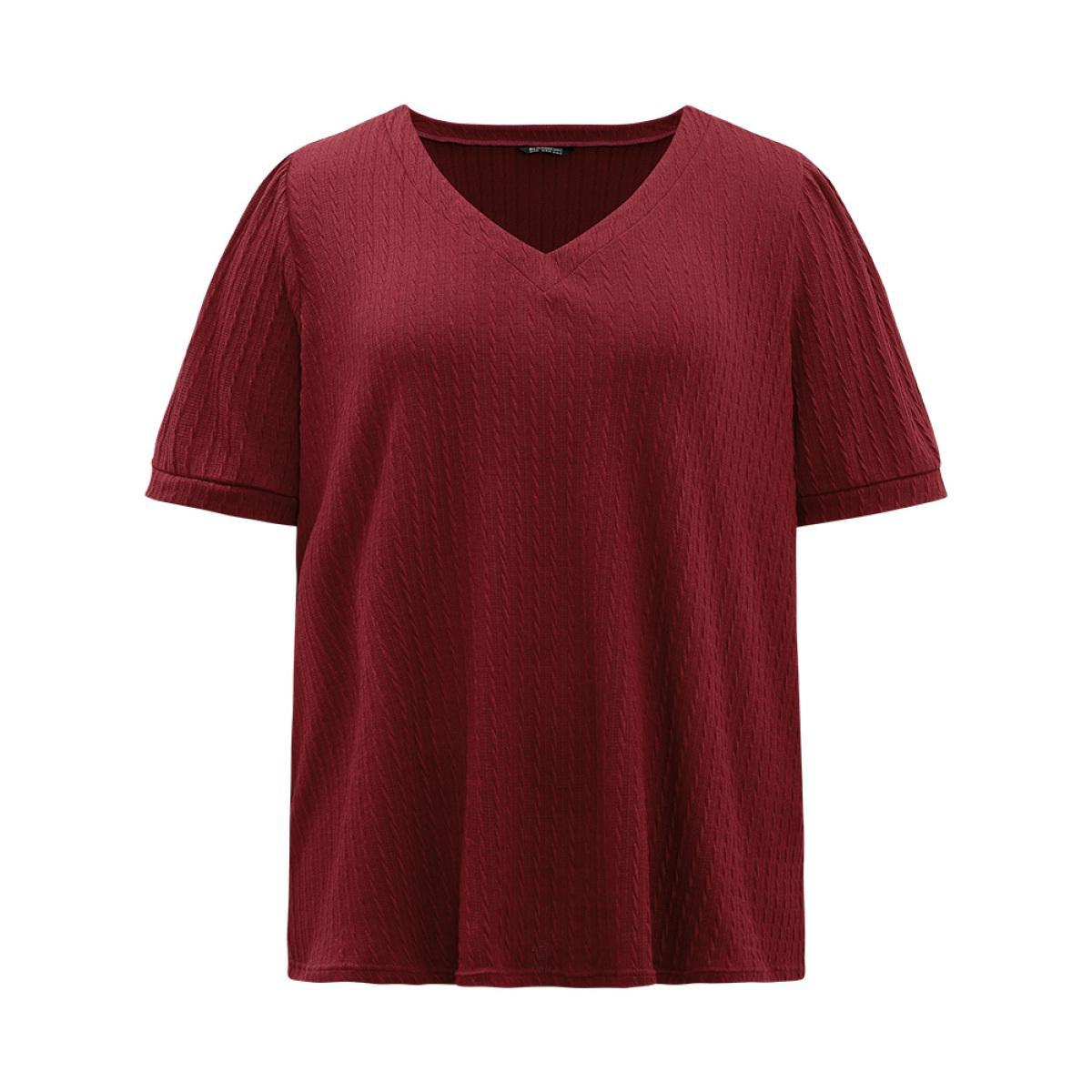 Plus Size Plain Texture V Neck Gathered Lantern Sleeve T-shirt Burgundy Women Casual Texture Plain V-neck Dailywear T-shirts BloomChic 22-24/3X Product Image