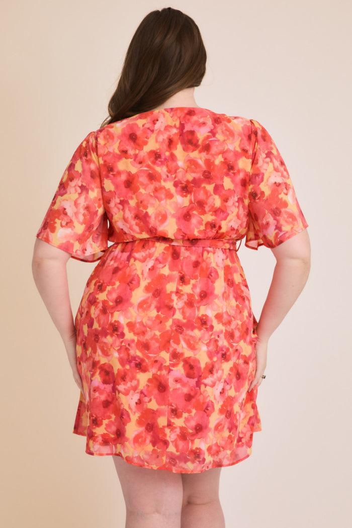 Lorna Dress Curvy Product Image