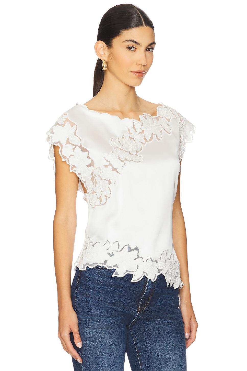 Begonia Top Lovers and Friends Product Image
