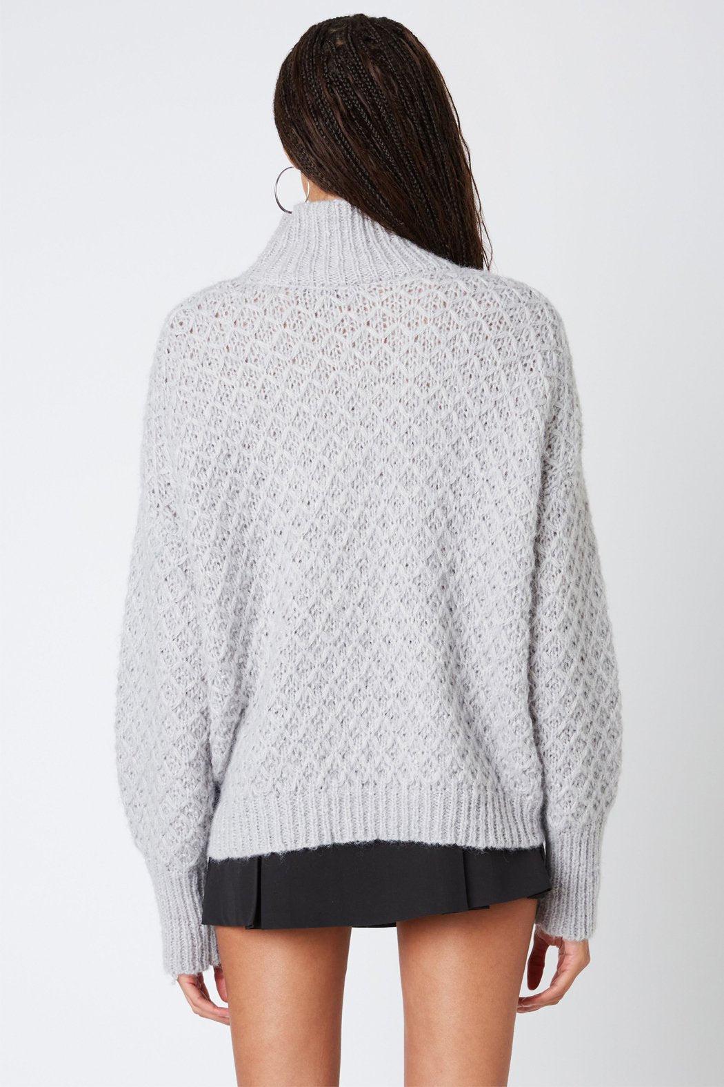 Tessa Textured  Turtleneck Product Image