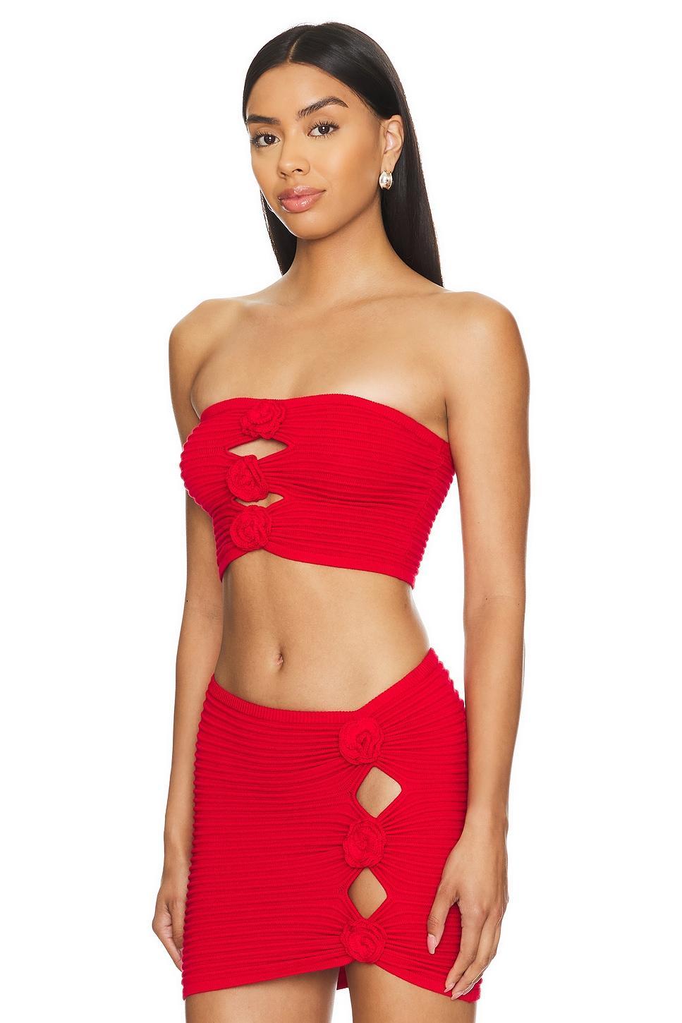 Lovers and Friends Ziona Tube Top in Red Product Image