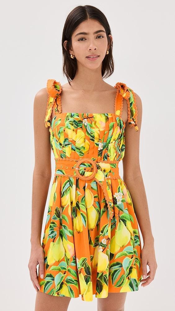 FARM Rio Orange Chic Pears Mini Dress | Shopbop Product Image
