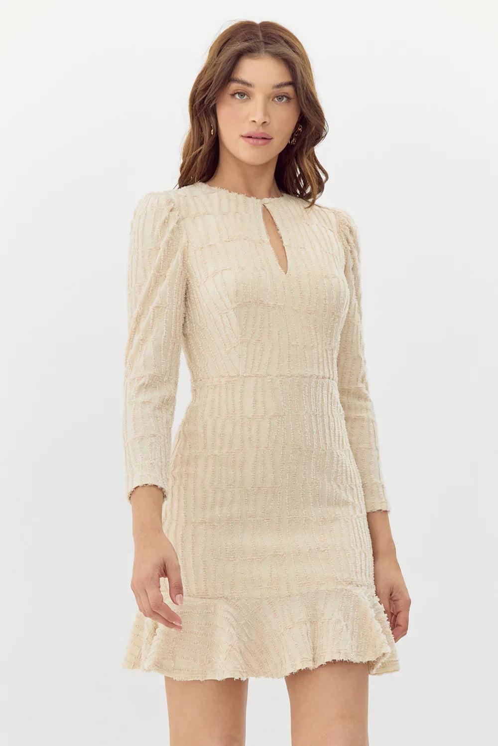 Jocelyn Burnout Knit Mini Dress Product Image