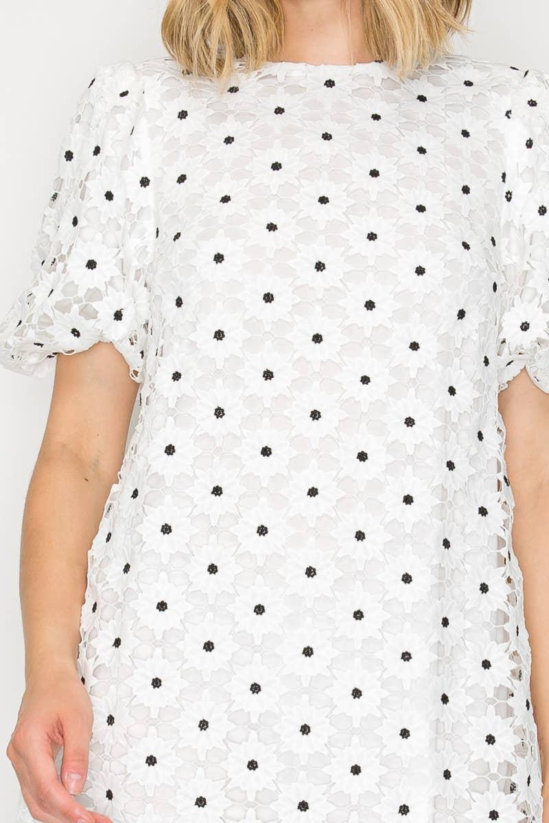 Daisy Polka Dot Lace Mini Dress Product Image