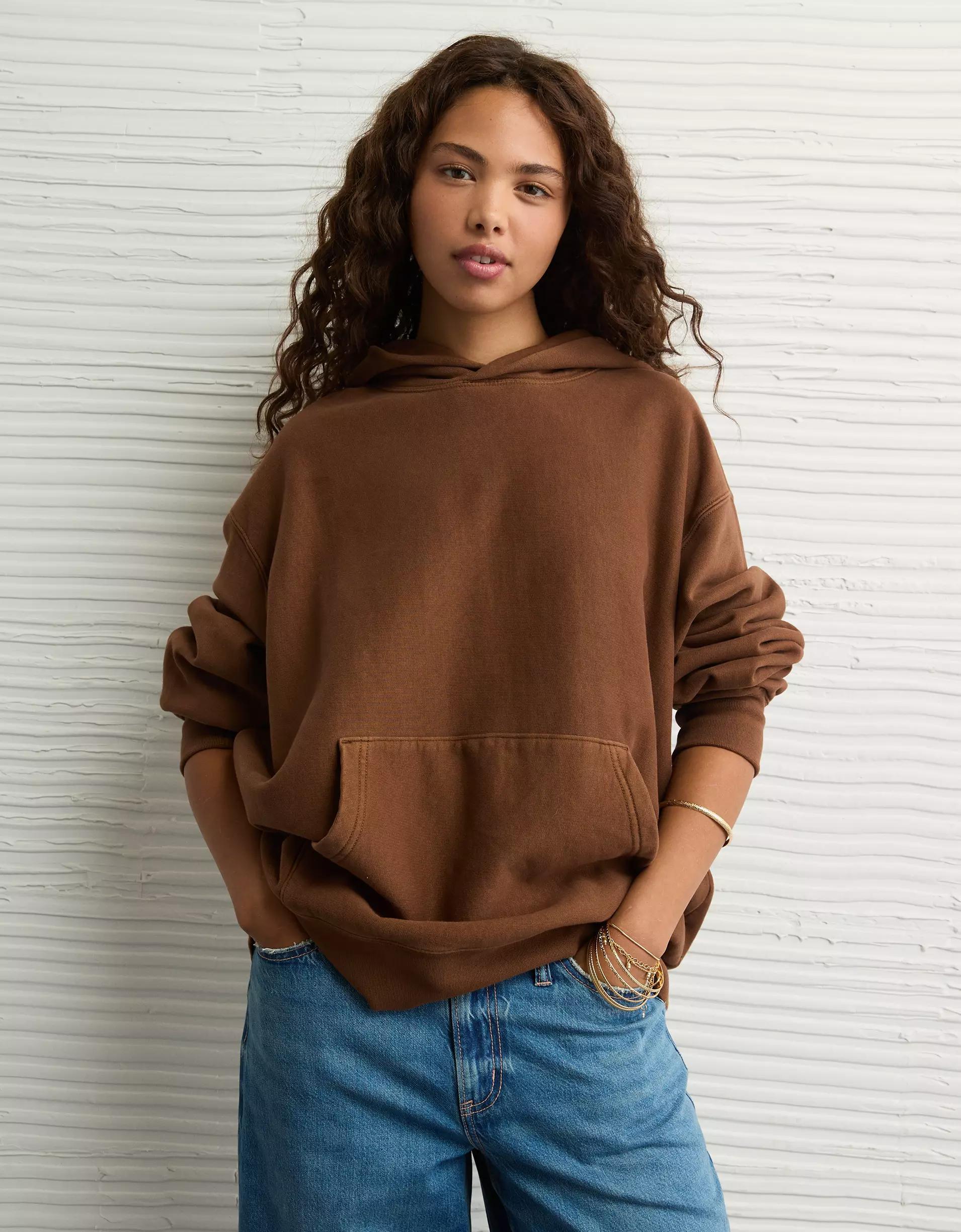 AE Laidback Luxe Heavyweight Hoodie Product Image