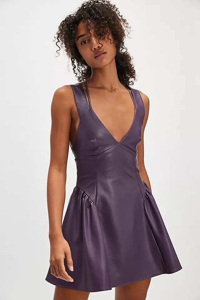Vera Mini Dress Product Image