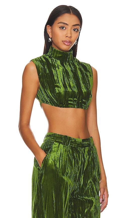 Crinkled Velvet Backless Crop Top NBD Product Image