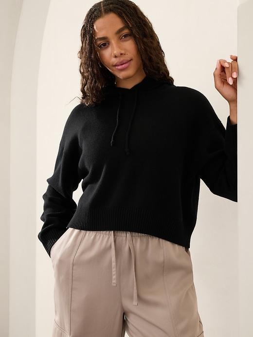 Alpine Cropped Hoodie Sweater Product Image