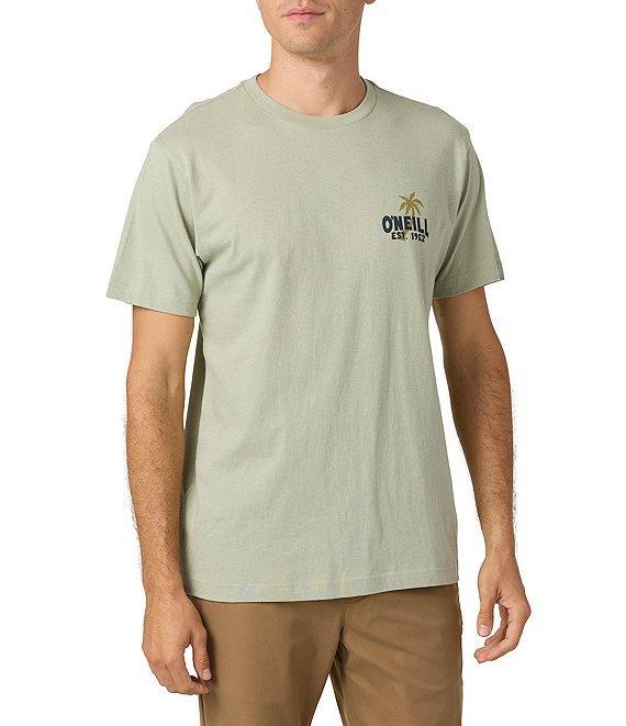 O'Neill Axelrad Short Sleeve T-Shirt Product Image