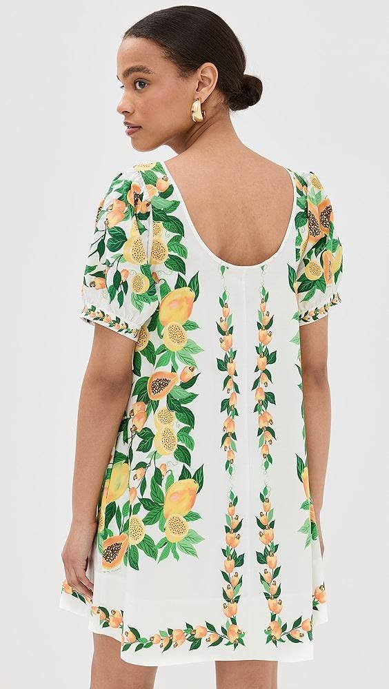 FARM Rio Papaya Salad Scarf Mini Dress | Shopbop Product Image