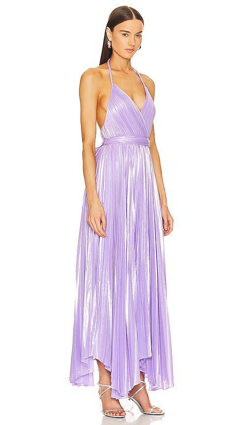 Arista Sleeveless Pleated Maxi Dress Product Image