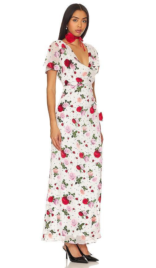 Maybelle Maxi Dress For Love & Lemons Product Image