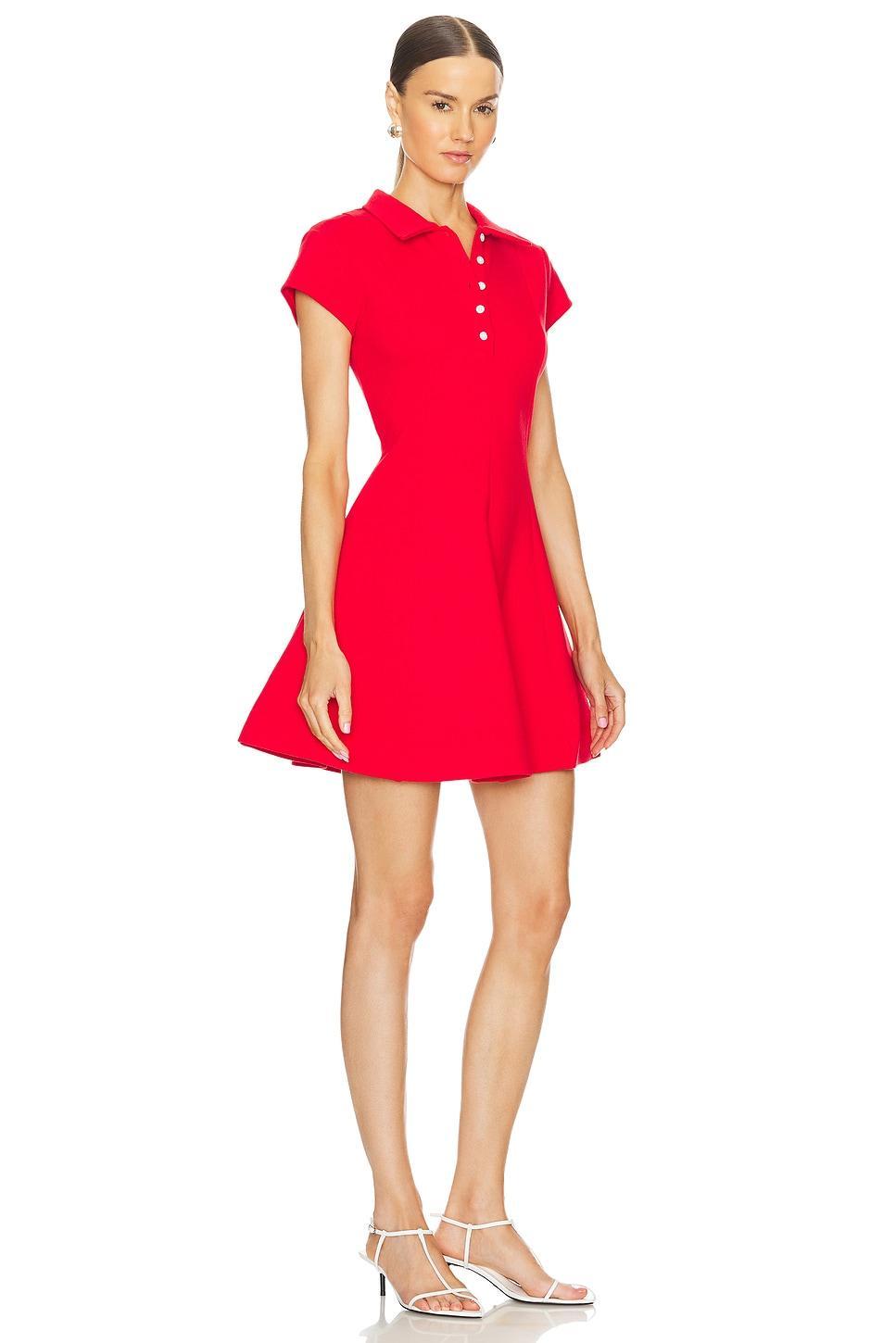 Maia Mini Dress Product Image