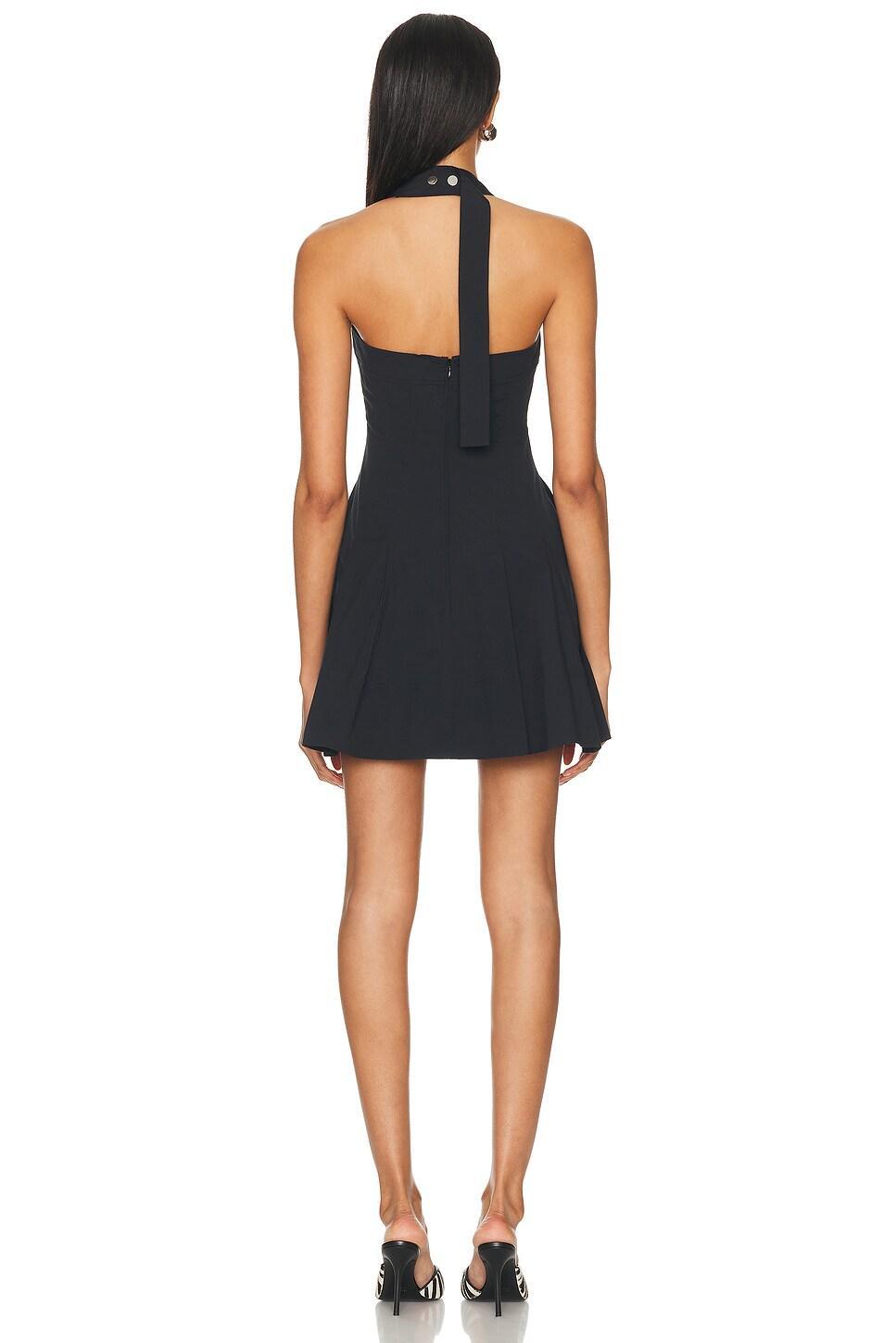 Nat Dress Product Image