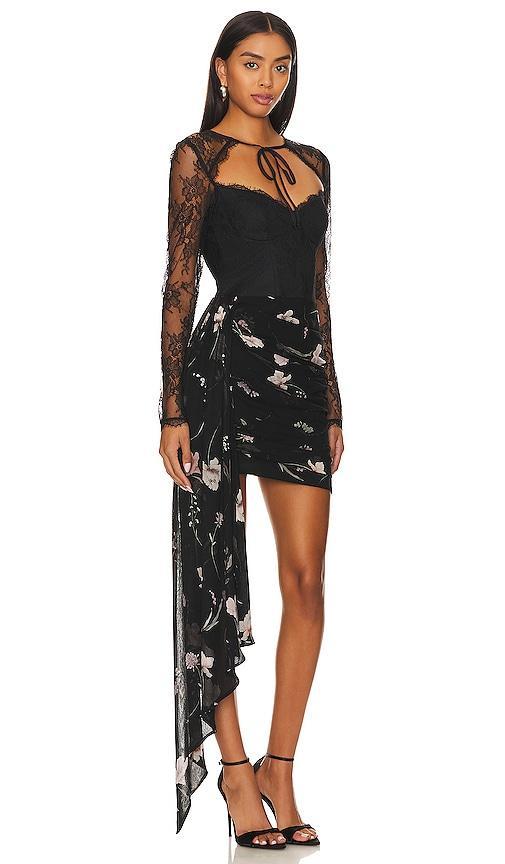 Wilde Dress Katie May Product Image