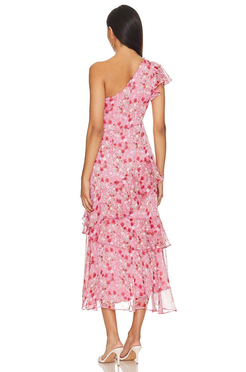 Victoriana Dress Product Image
