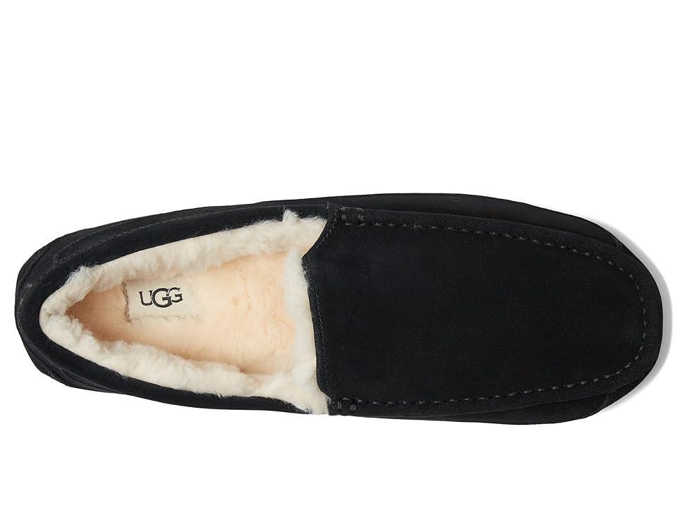 Ugg Mens Ascot Suede Slippers Product Image